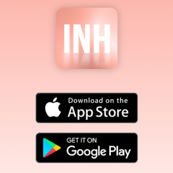 NiB  INH  Blowout brush! - Picture 2 of 9